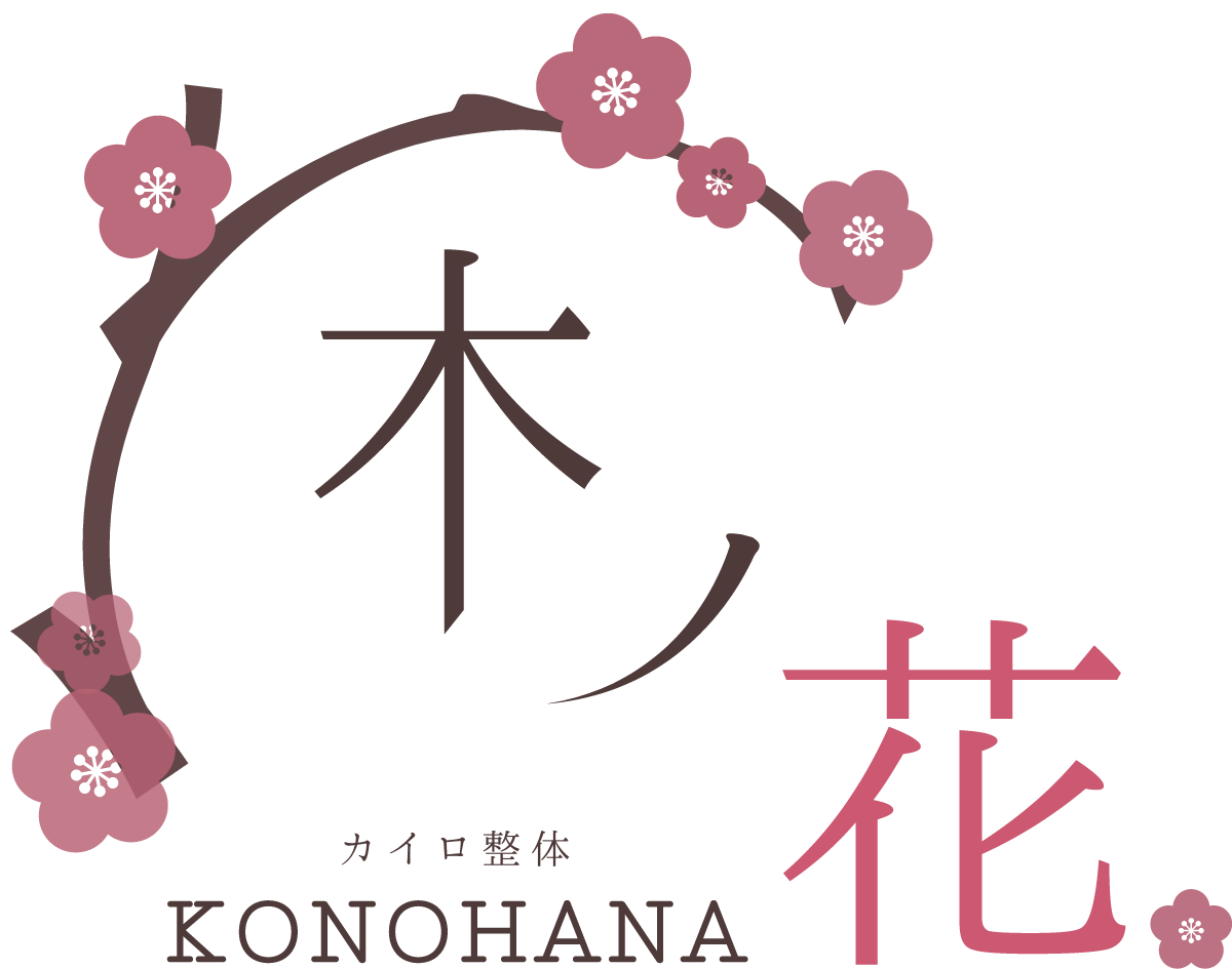 カイロ整体木ノ花