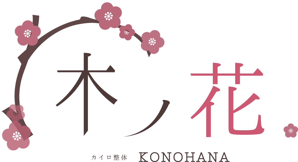カイロ整体木ノ花